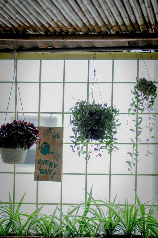 Tuti Tong Dan Homestay ハノイ市 エクステリア 写真